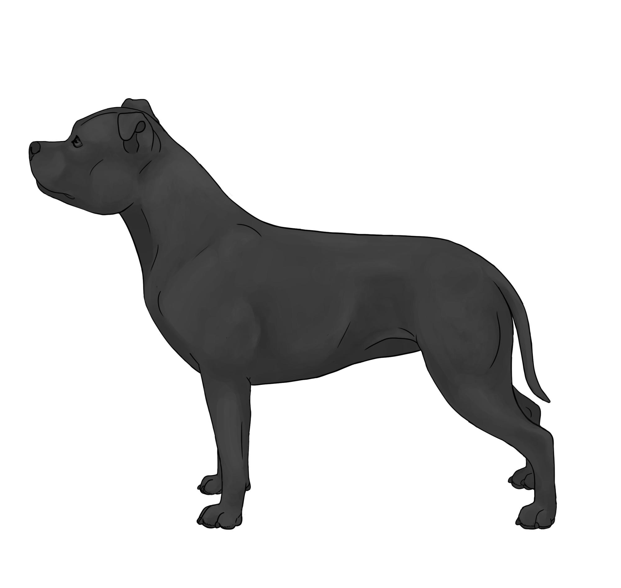 UKC Breed Standards: Staffordshire Bull Terrier