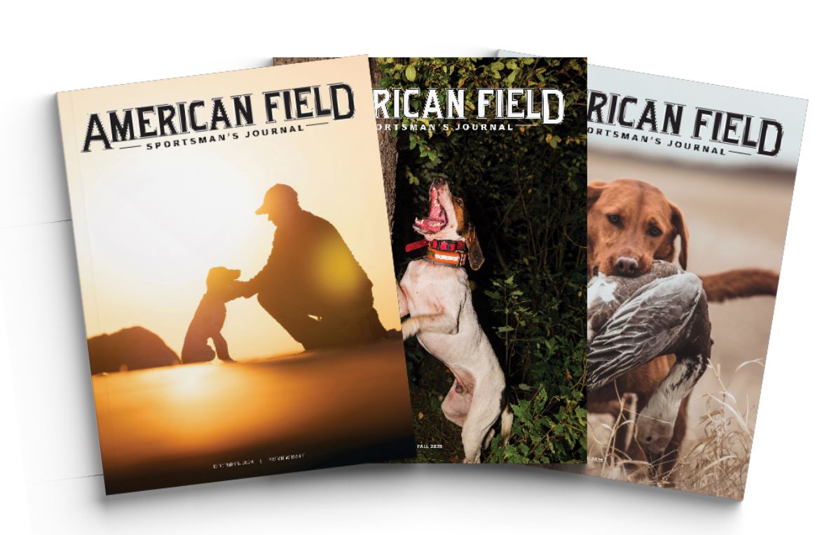 Subscribe to the  American Field Sportsman's Journal