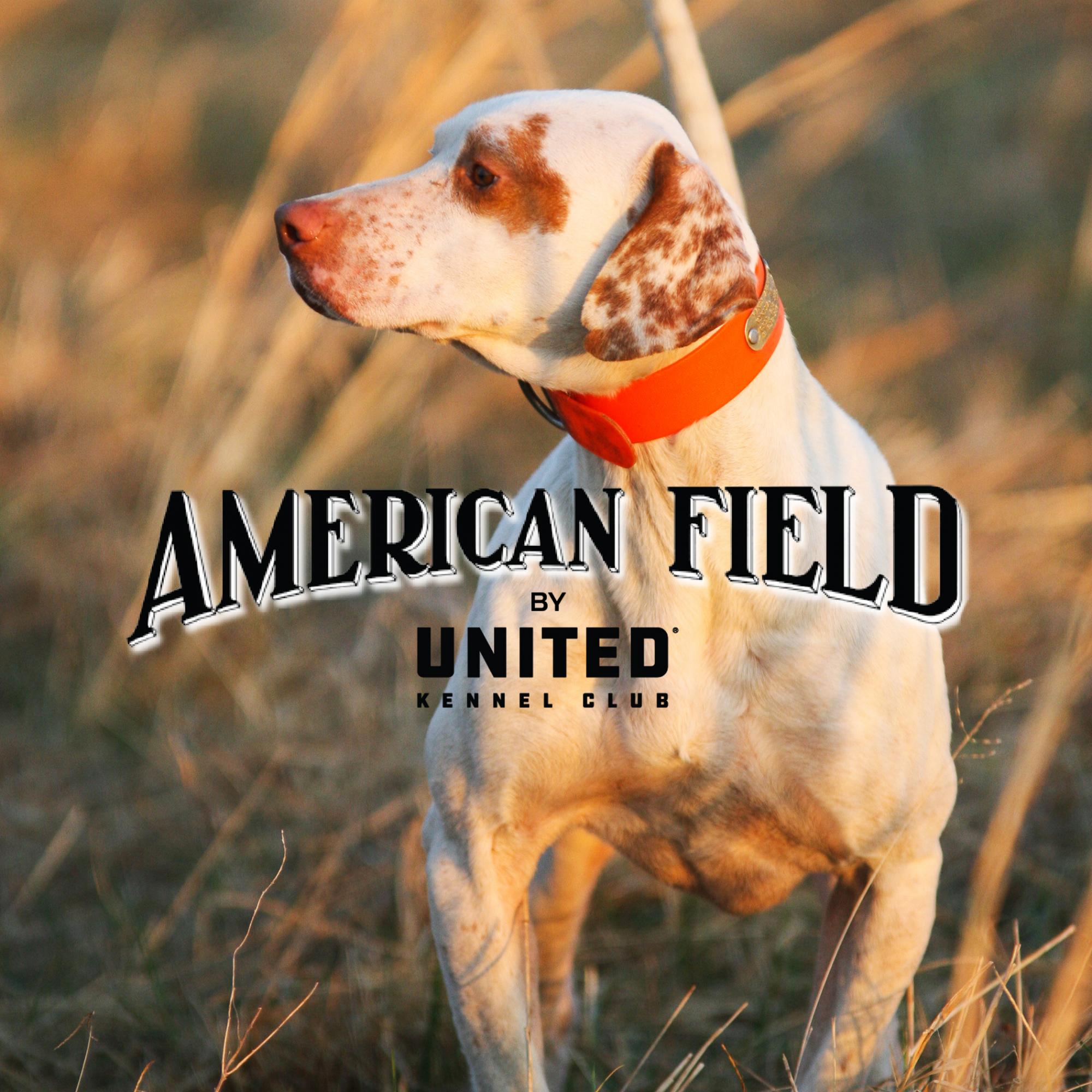 UKC Hunting Ops Podcast  a podcast by United Kennel Club