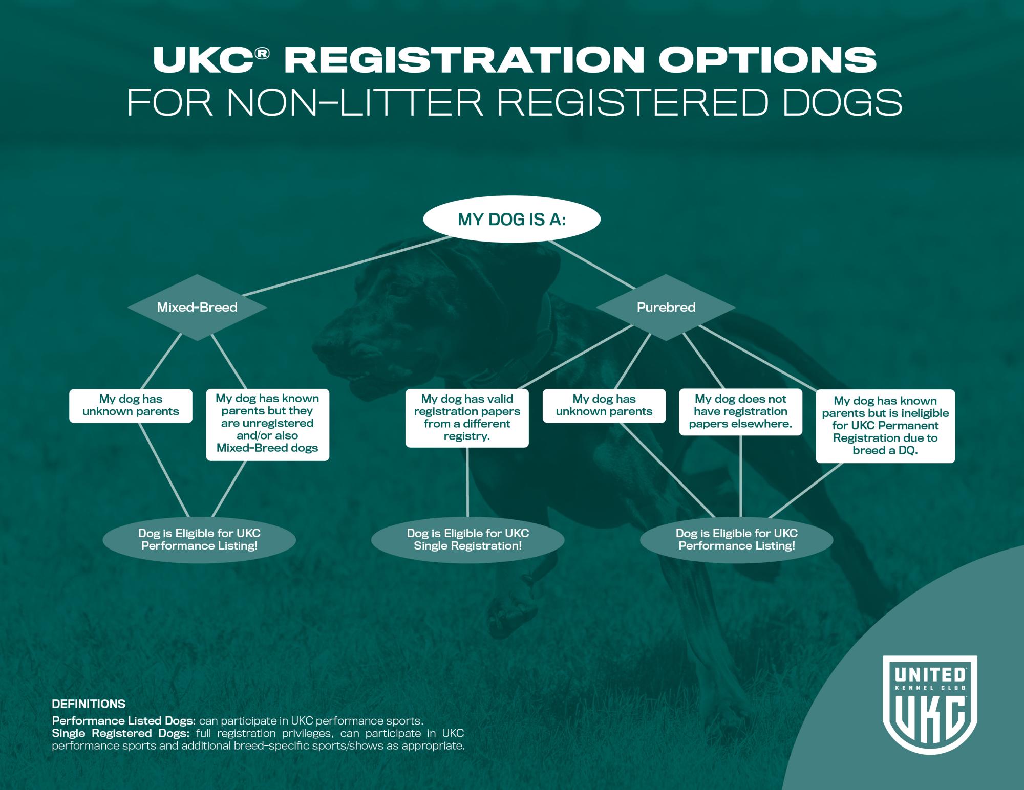 how-to-register-united-kennel-club-ukc