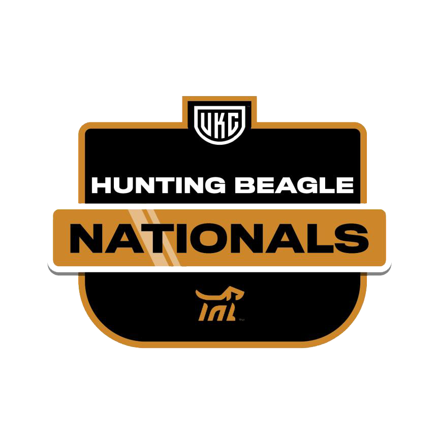 UKC Hunting Beagle Nationals