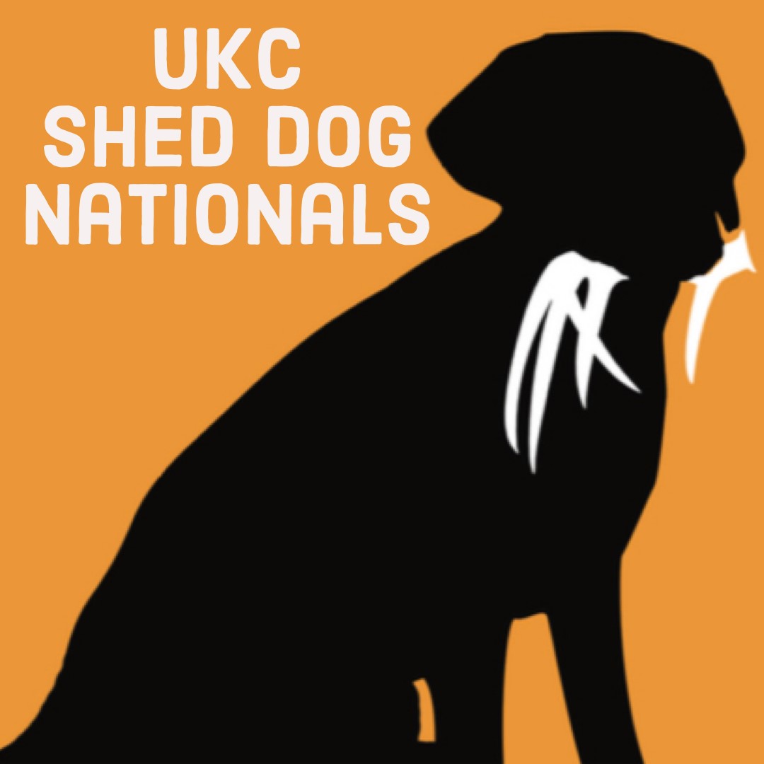 Shed Dog Events and Programs | United Kennel Club (UKC)