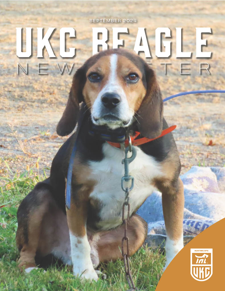 Beagle Newsletter September 2024