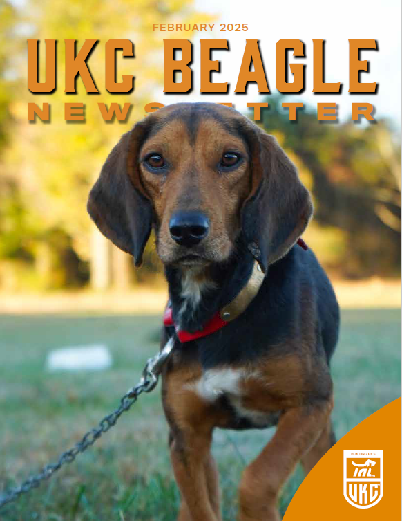 Beagle Newsletter February 2025 Cover