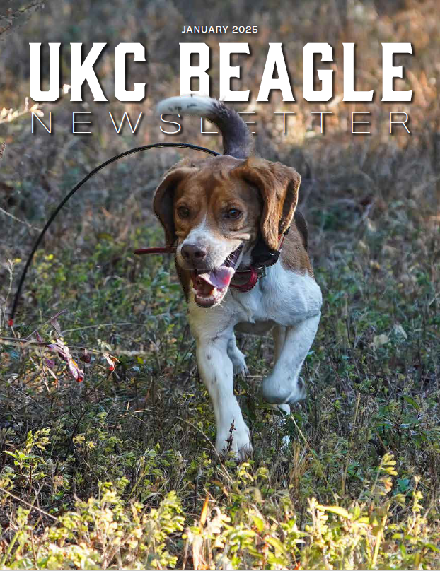 Beagle Newsletter January 2025 Cover