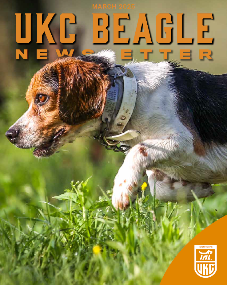 Beagle Newsletter - March 2025 Cover Photo