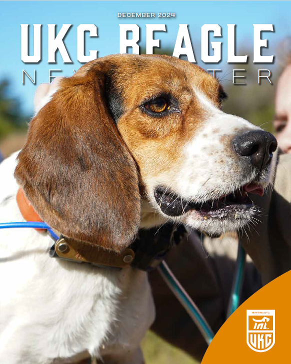 UKC Beagle Newsletter December 2024