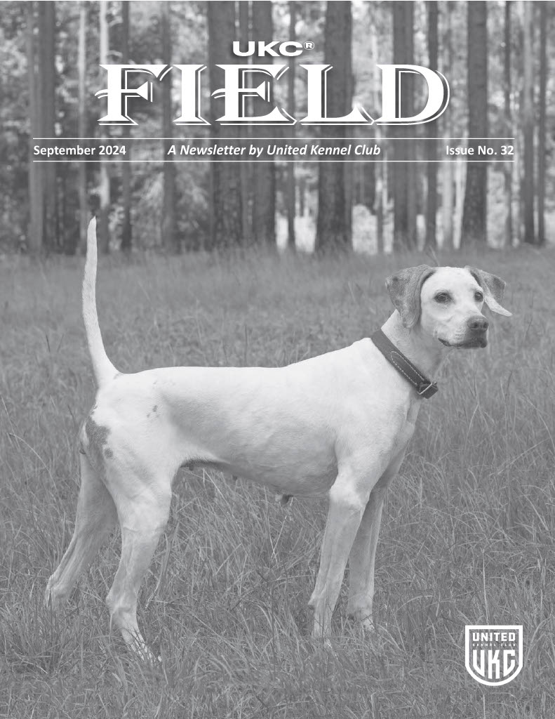 UKC Field September 2024 Cover