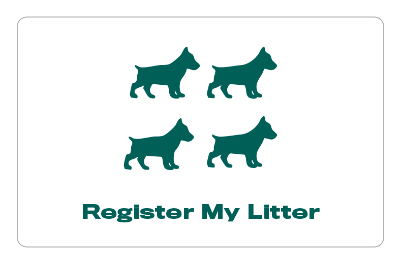 Register My Litter