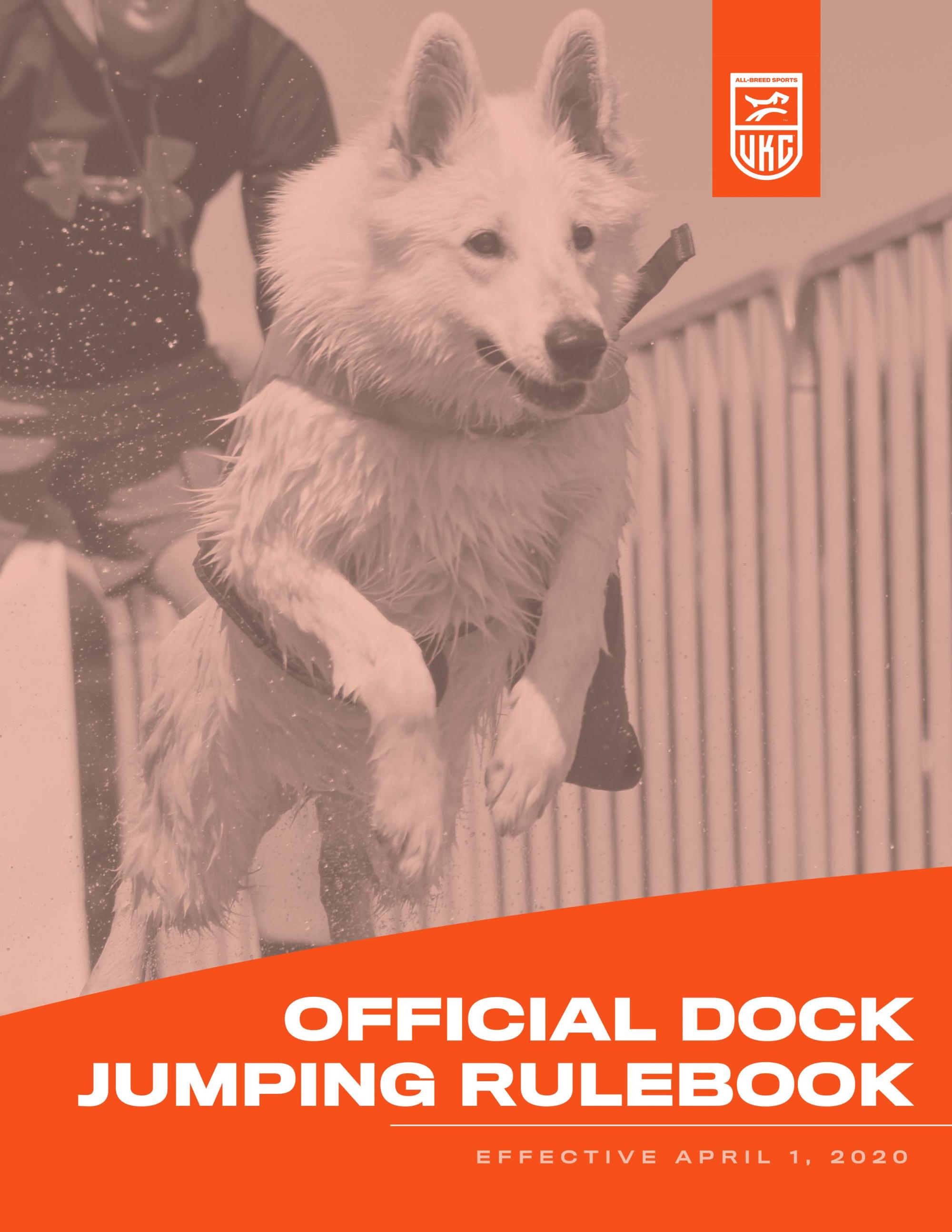 Dock Jumping rulebook cover