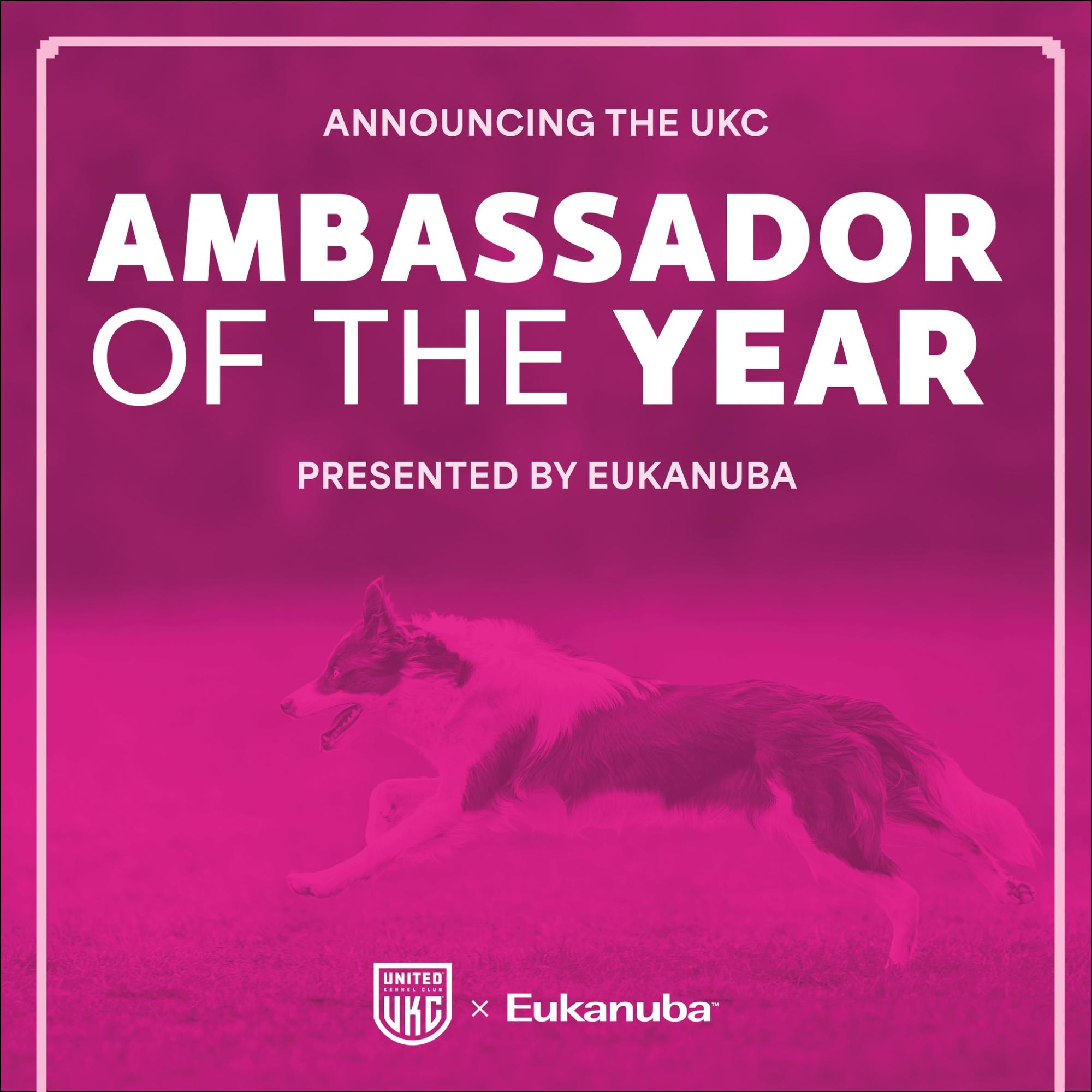 Ambassador of the Year